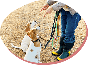 健康・飼育のアドバイスも行います