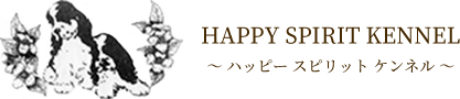 HAPPY SPIRIT KENNEL